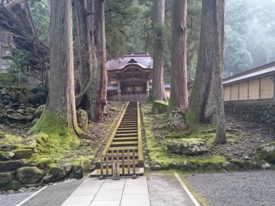 【お知らせ】謹賀新年